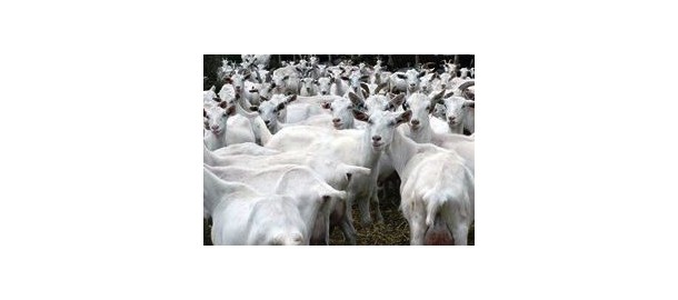 190520 Geiten_ChristenUnie.jpg