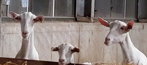 230120 Mooimekkerland_1.jpg