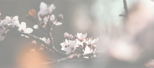 21 Condoleancekaart.pdf